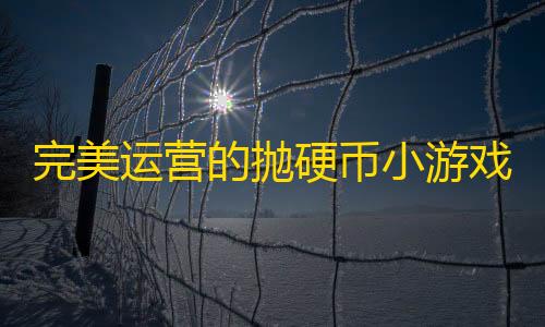 暗区突围透视工具完美运营的抛硬币小游戏微信小程序源码